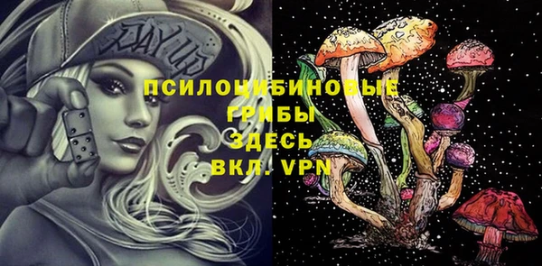 прущий лед Дмитриев