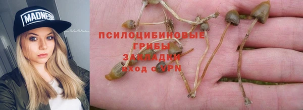 прущий лед Дмитриев