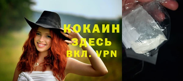 прущий лед Дмитриев