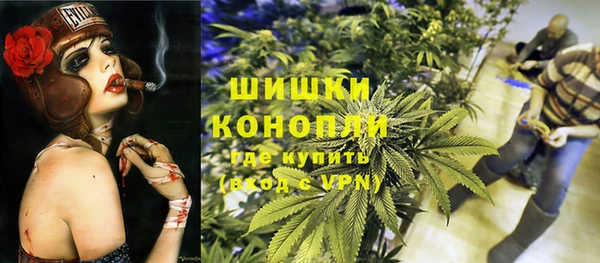 прущий лед Дмитриев