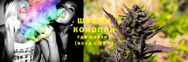 прущий лед Дмитриев